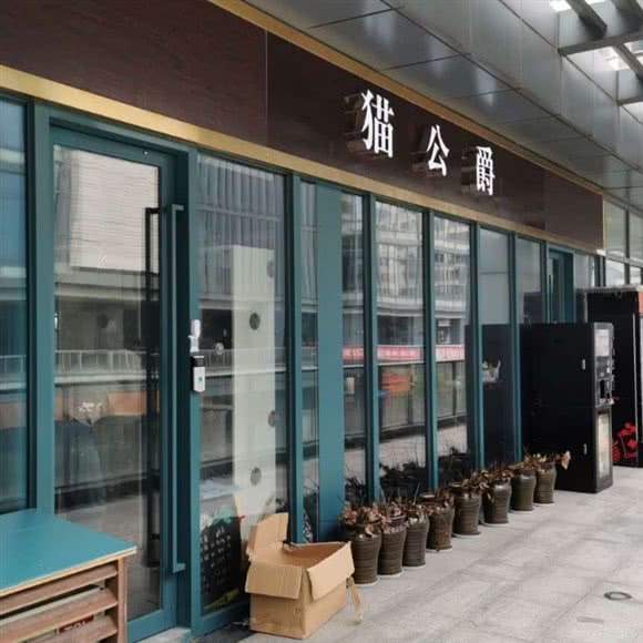 猫国王:宁波市余姚市