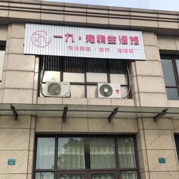 一九宠物生活馆:宁波市余姚市