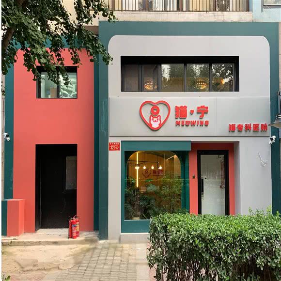 猫宁宠物医院·猫专科:北京城区朝阳区百子湾附近