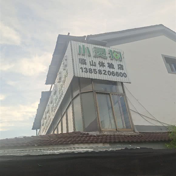 小灵狗(临山体验店):宁波市余姚市