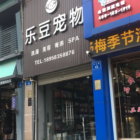 乐豆狗狗:宁波市余姚市