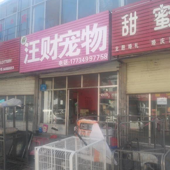 汪财宠物:朔州市怀仁市怀仁市附近