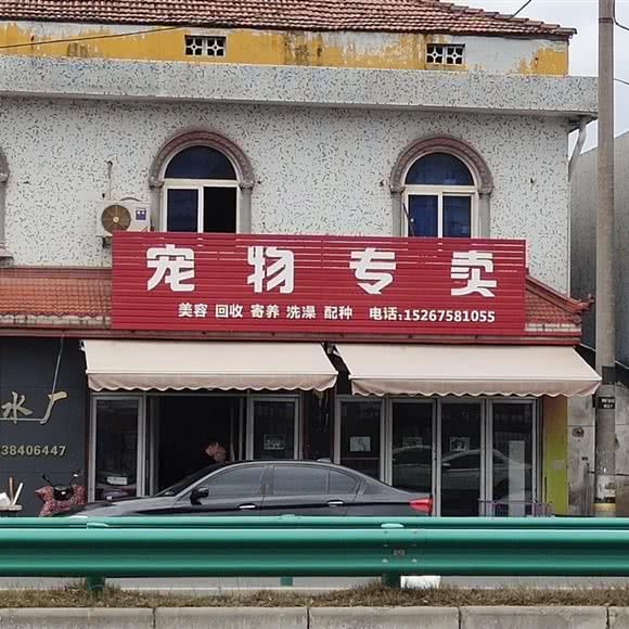 宠物专卖:宁波市余姚市
