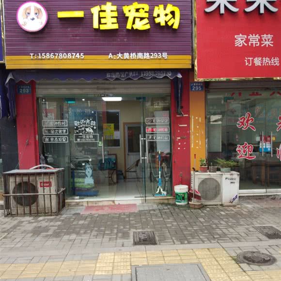 一佳宠物:宁波市余姚市