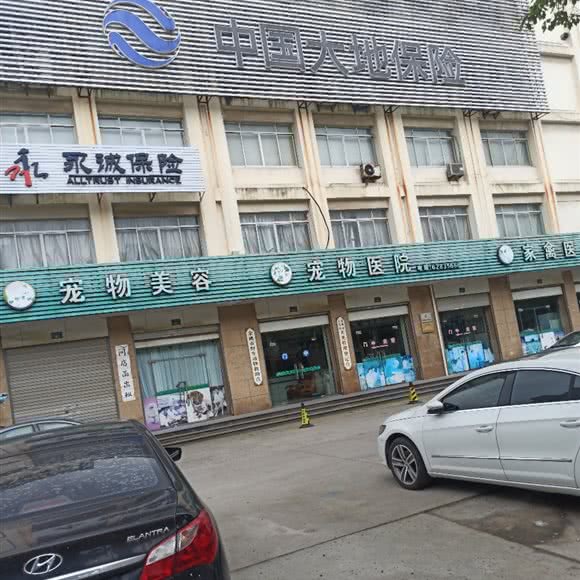 宠物美容:宁波市余姚市