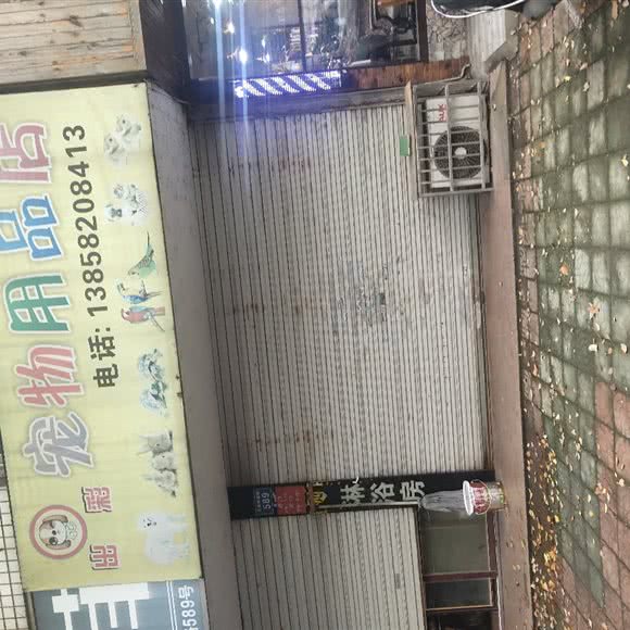 出彩宠物用品店:宁波市余姚市