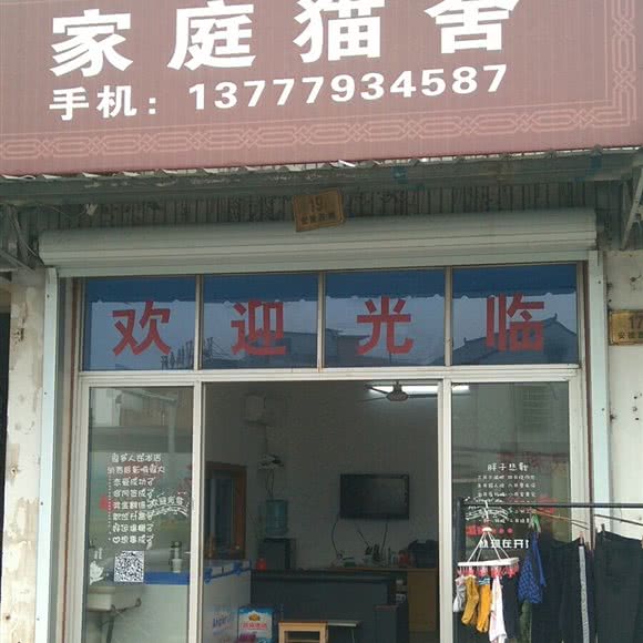 家庭猫舍:宁波市余姚市