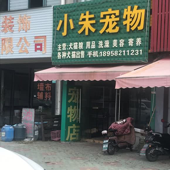 小朱宠物:宁波市慈溪市