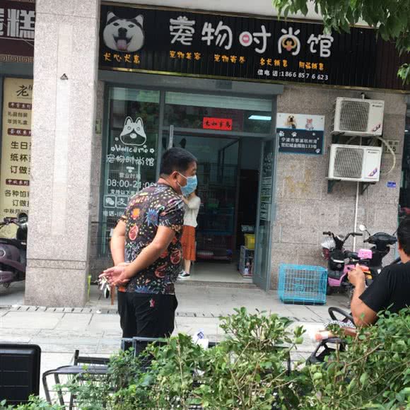 宠物时尚馆:宁波市慈溪市
