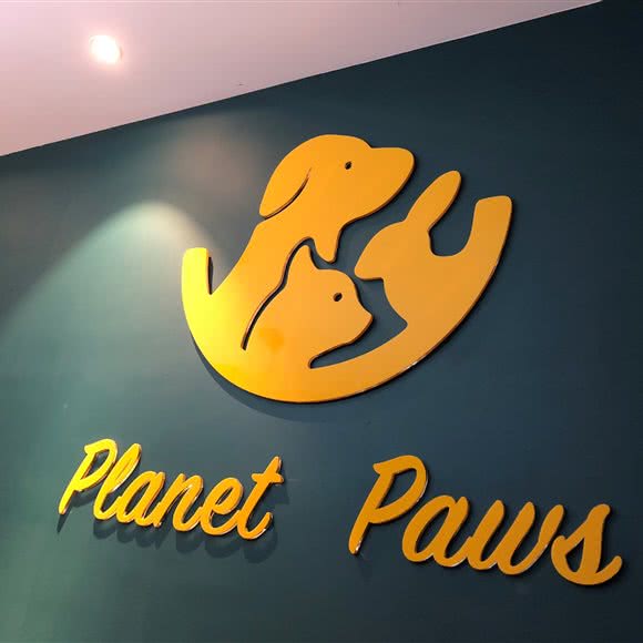 planet paws宠物生活体验馆:宁波市慈溪市