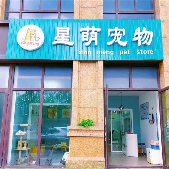 星萌宠物:宁波市慈溪市