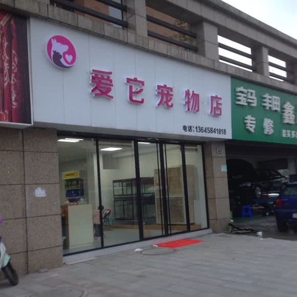 爱它宠物店:宁波市慈溪市