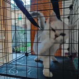 宅下即猫:宁波市慈溪市