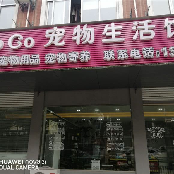 CoCo宠物生活馆:宁波市慈溪市
