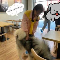 短腿の反基:宁波市慈溪市