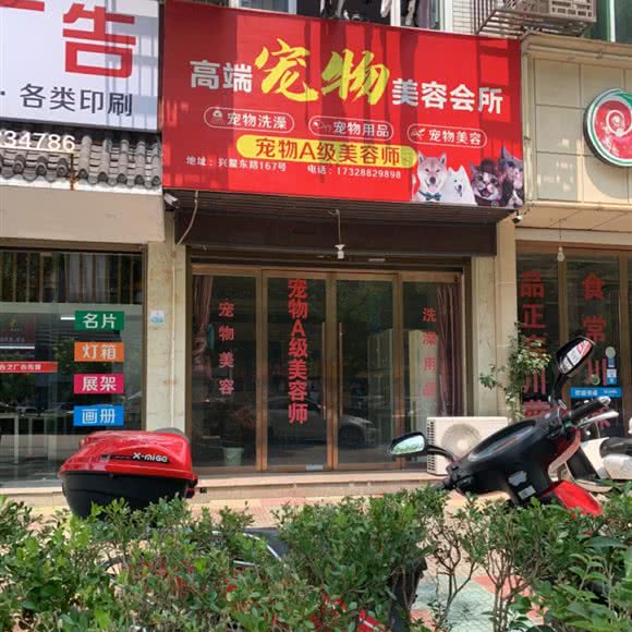 高端宠物美容会所:温州市平阳县