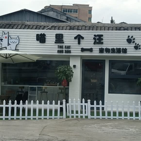 喵里个汪:温州市平阳县