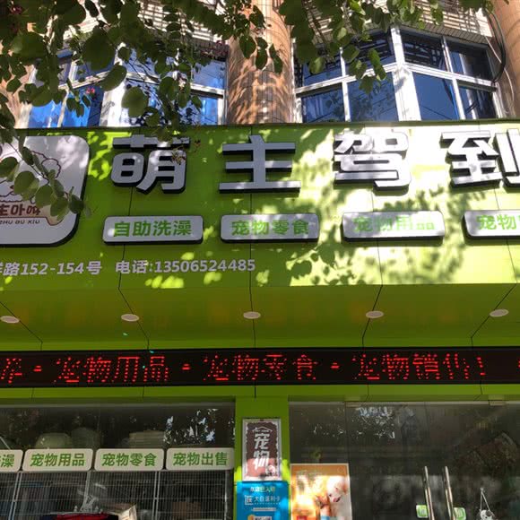 萌主驾到:温州市平阳县
