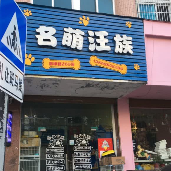 名萌汪族:温州市平阳县