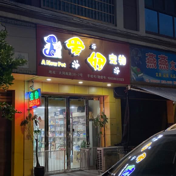 爱妞宠物:温州市平阳县