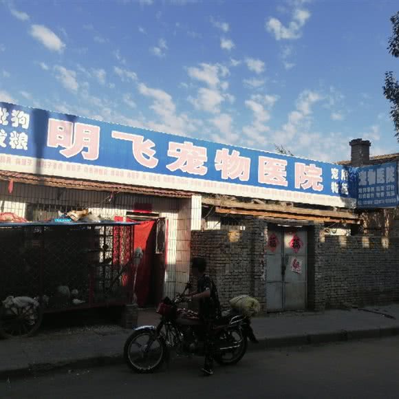 宠物医院:朔州市怀仁市怀仁市附近