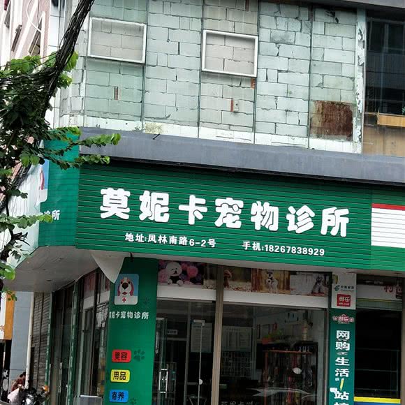 莫妮卡宠物诊所:温州市平阳县