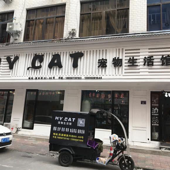 MY CAT 宠物生活馆:温州市苍南县