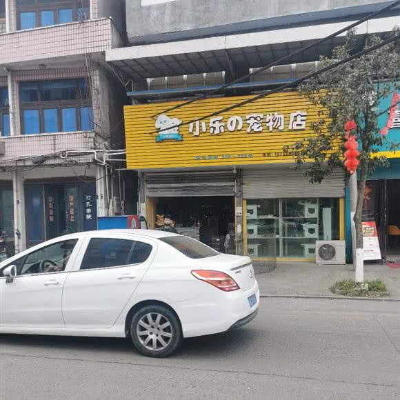 小乐の宠物店(苍南钱库店):温州市苍南县