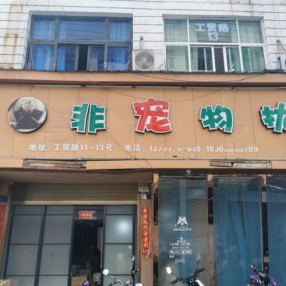 非宠物扰:温州市苍南县