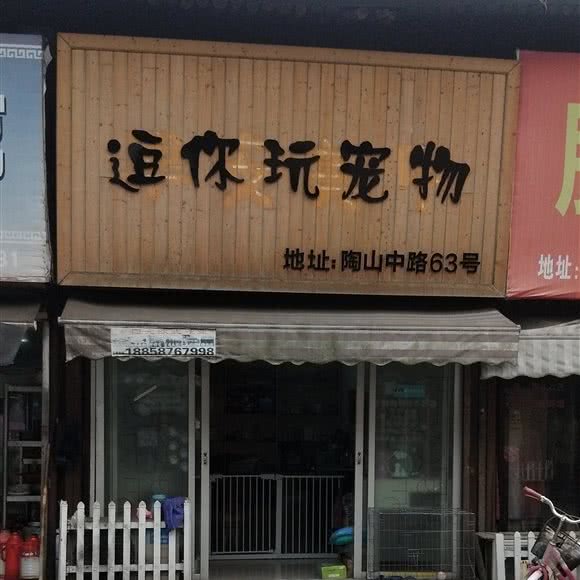 逗你玩宠物店:温州市瑞安市