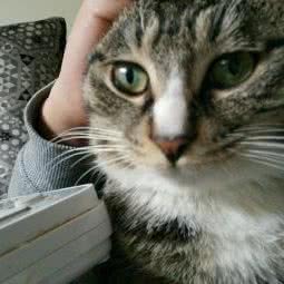 星宠宠物生活馆(莘塍店):温州市瑞安市