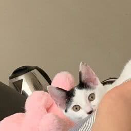 艾特它宠物生活馆:温州市瑞安市