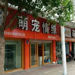 萌宠情缘(塘河南路店):温州市瑞安市