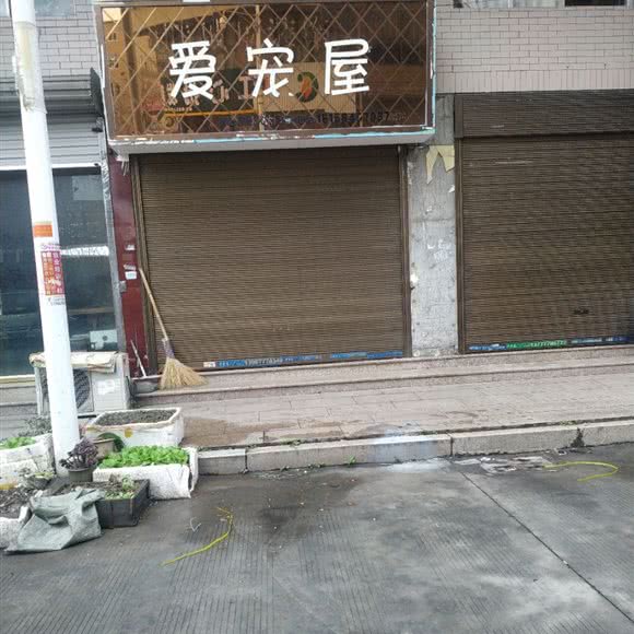 爱宠屋(塘永线店):温州市瑞安市