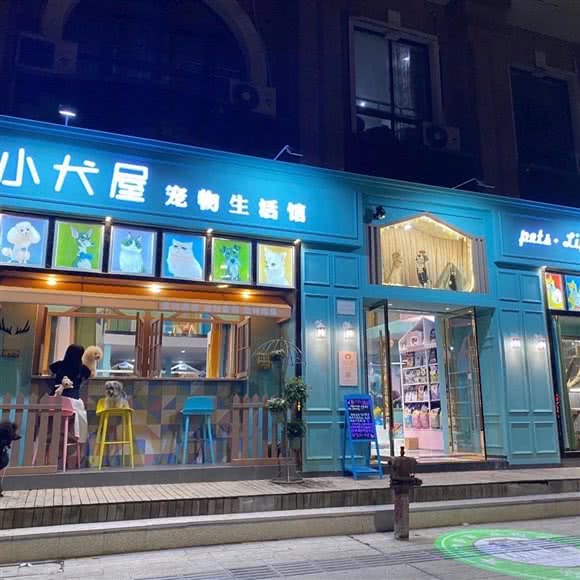 小犬屋宠物生活馆:温州市瑞安市