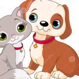 艾贝尔宠物会所:温州市瑞安市