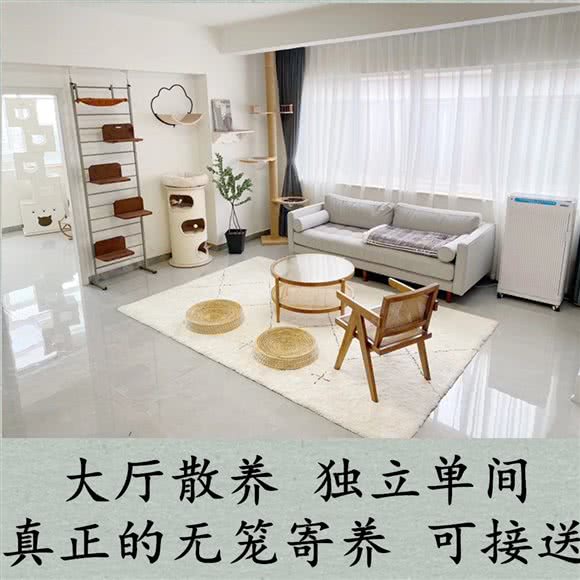 喵喵的假日·猫咪寄养:温州市乐清市