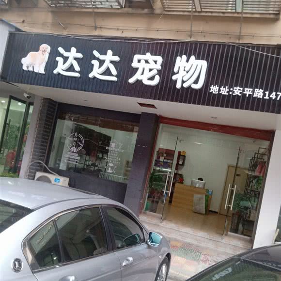 达达宠物:温州市乐清市