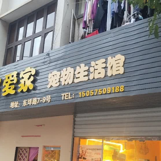 瑞宝爱家宠物生活馆:温州市乐清市