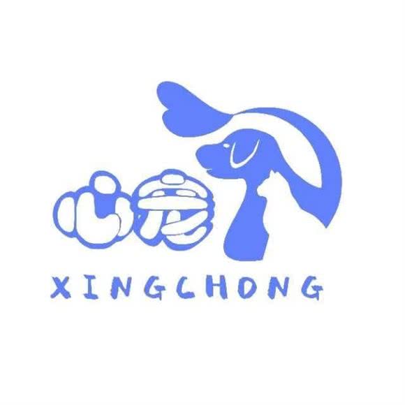 心宠猫咖俱乐部:温州市乐清市