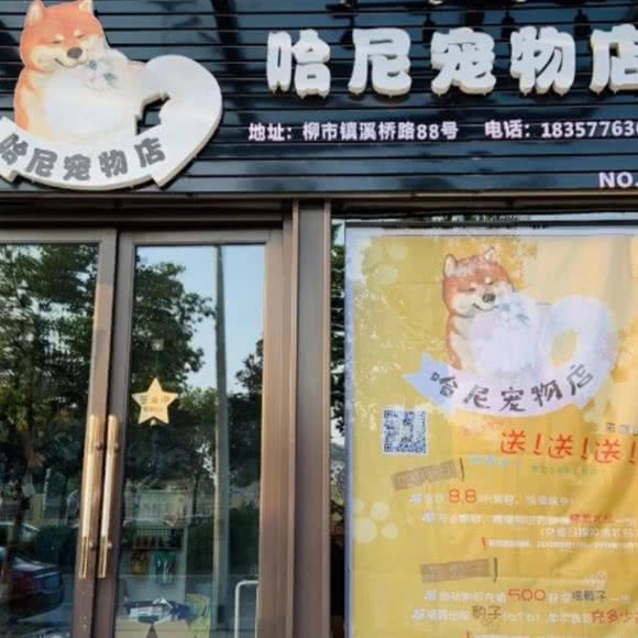 哈尼宠物(哈尼宠物店):温州市乐清市