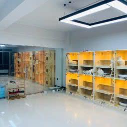 S.MOUNTAIN·猫舍:温州市乐清市