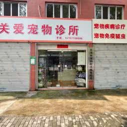 关爱宠物诊所:温州市乐清市