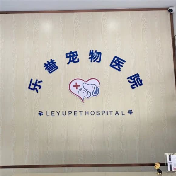 乐誉宠物医院:温州市乐清市