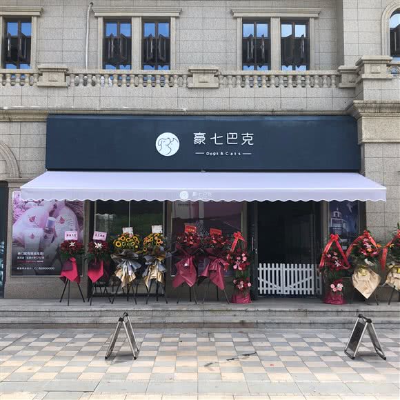 豪五巴克dogs&cats:嘉兴市南湖区