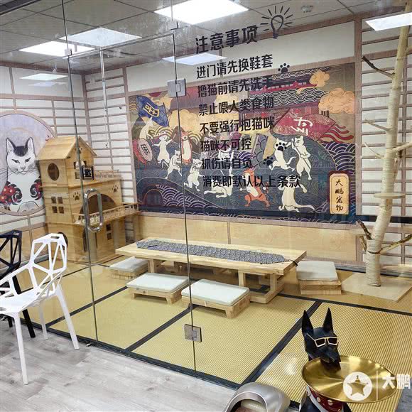 大鹏宠物生活体验馆(印象城店):晋中市榆次区榆次区附近