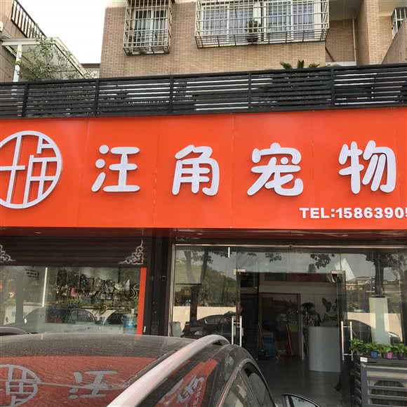 汪角宠物:嘉兴市秀洲区