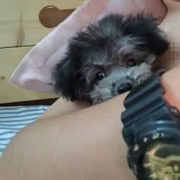 迷尚宠物生活馆:嘉兴市嘉善县