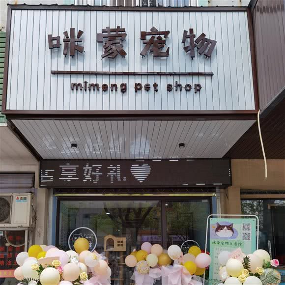 咪蒙宠物狗:嘉兴市嘉善县