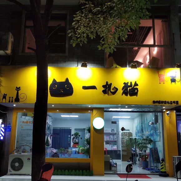 一扎猫(嘉善店):嘉兴市嘉善县